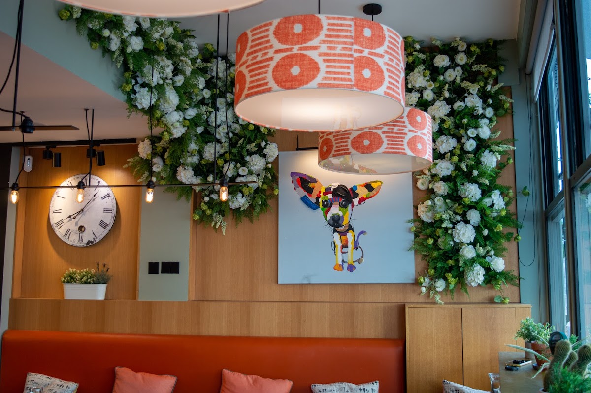 Cafe Tamra Northcote Road